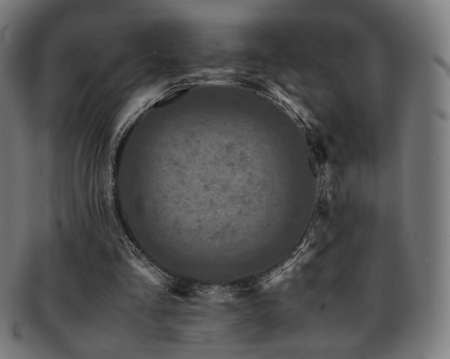 X0000091880293200709051329