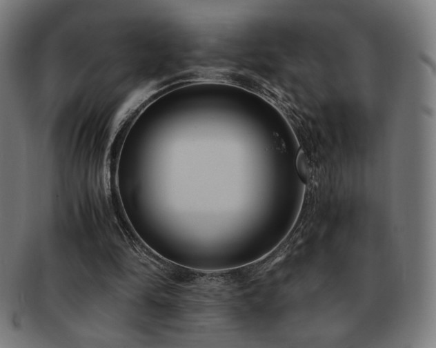 X0000091880294200709051329