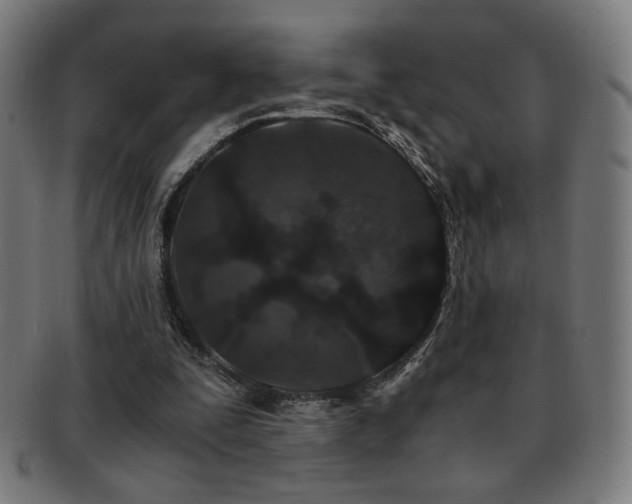 X0000091880295200709051329