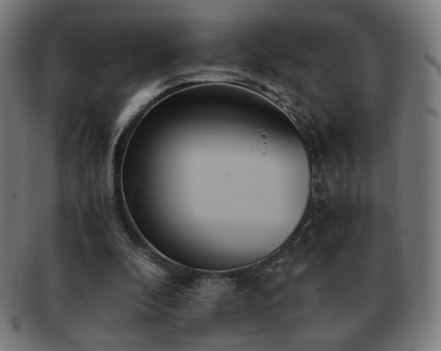 X0000091880296200709051329