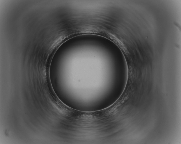 X0000091880298200709051329