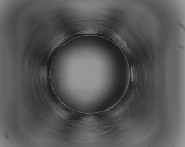 X0000091880300200709051329