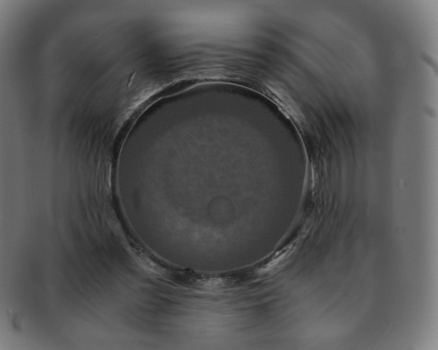 X0000091880301200709051329