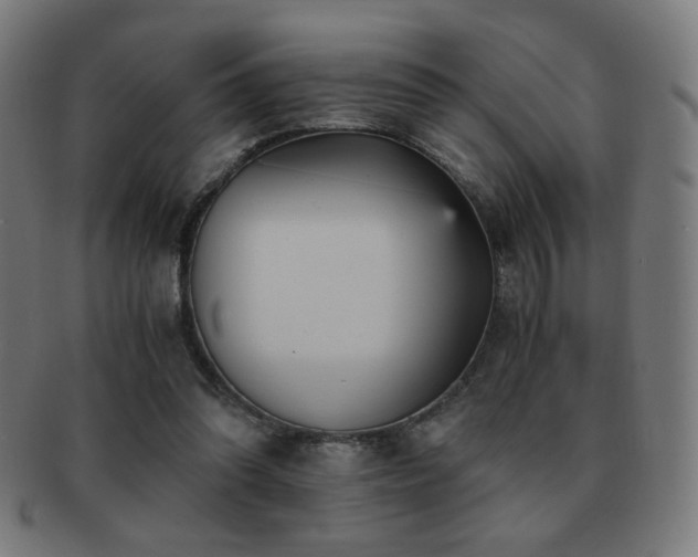 X0000091880302200709051329
