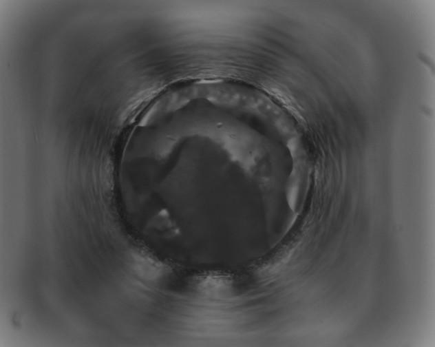 X0000091880303200709051329