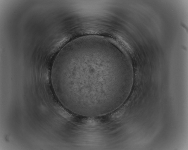 X0000091880305200709051329