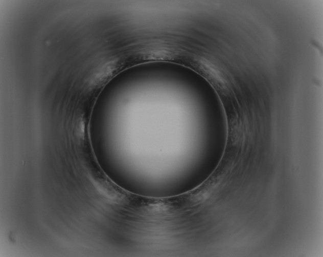 X0000091880310200709051329