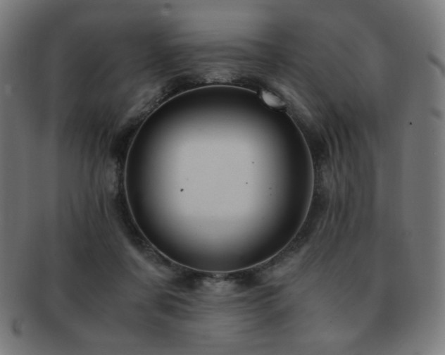 X0000091880311200709051329