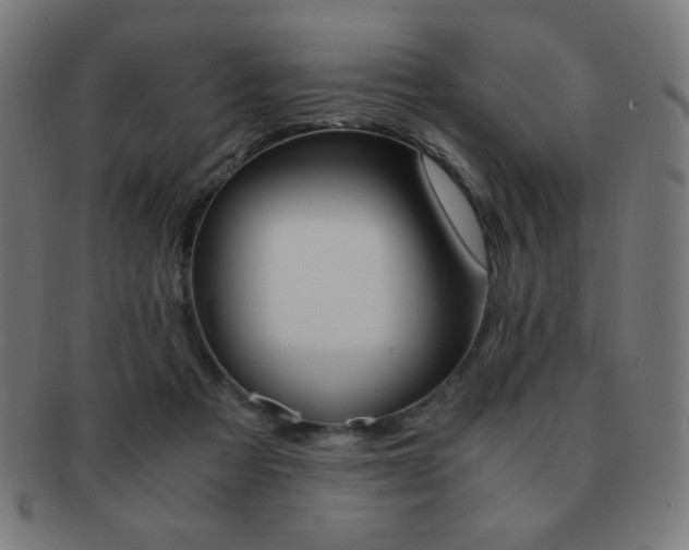 X0000091880313200709051329