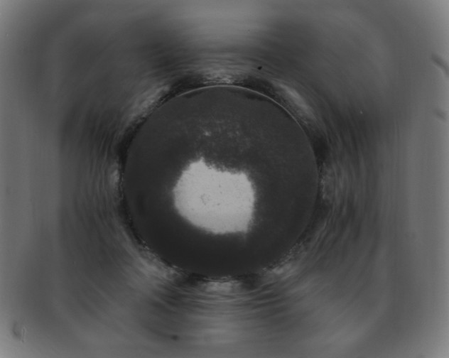 X0000091880314200709051329