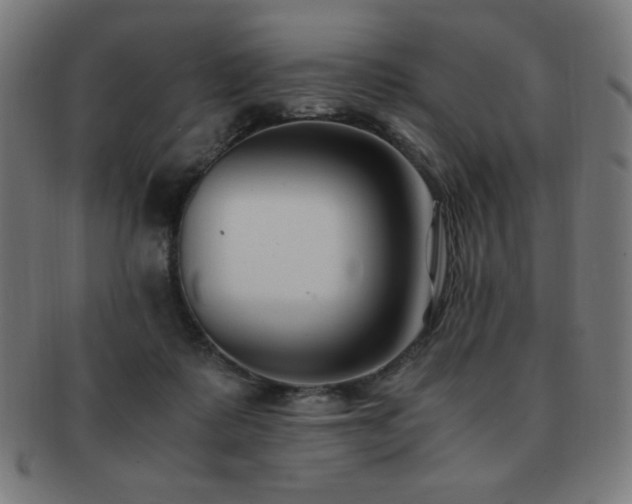 X0000091880315200709051329