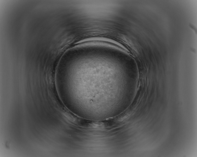 X0000091880317200709051329