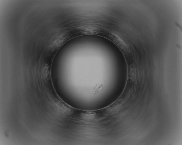 X0000091880318200709051329