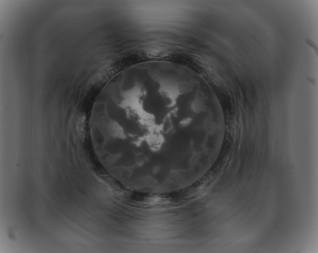 X0000091880319200709051329