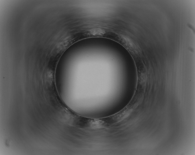 X0000091880321200709051329