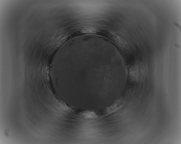 X0000091880322200709051329