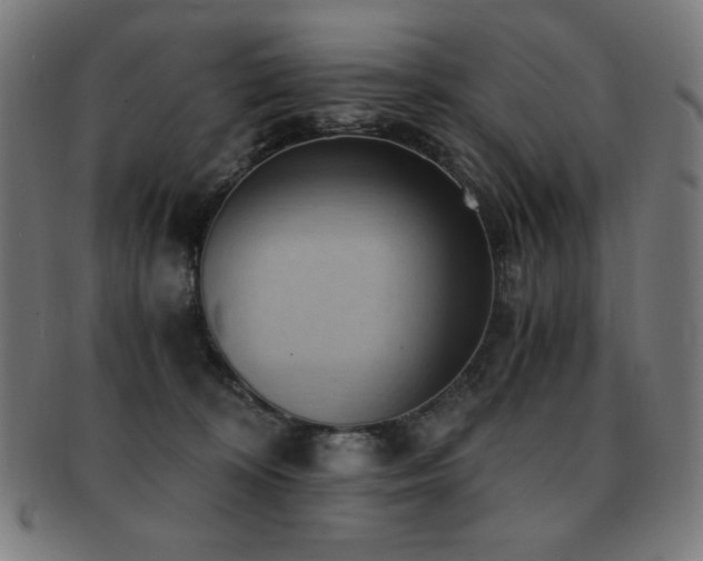 X0000091880324200709051329