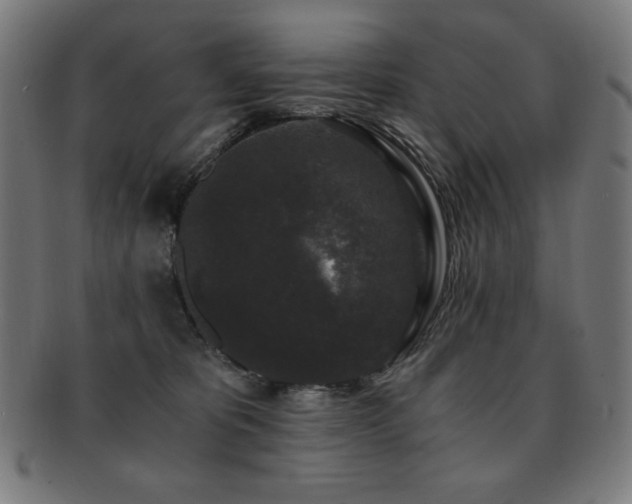 X0000091880325200709051329