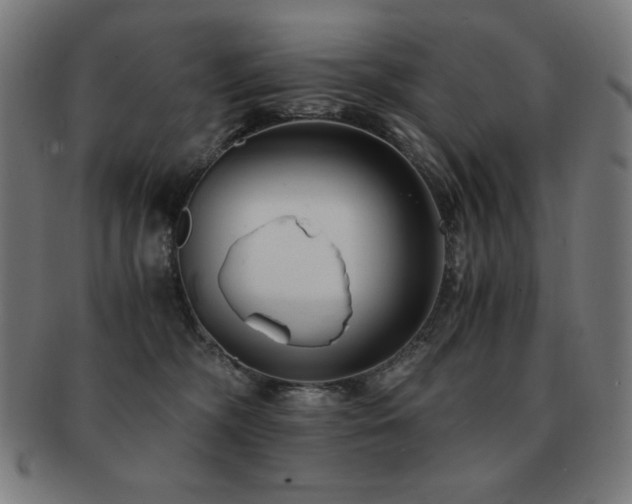 X0000091880326200709051329
