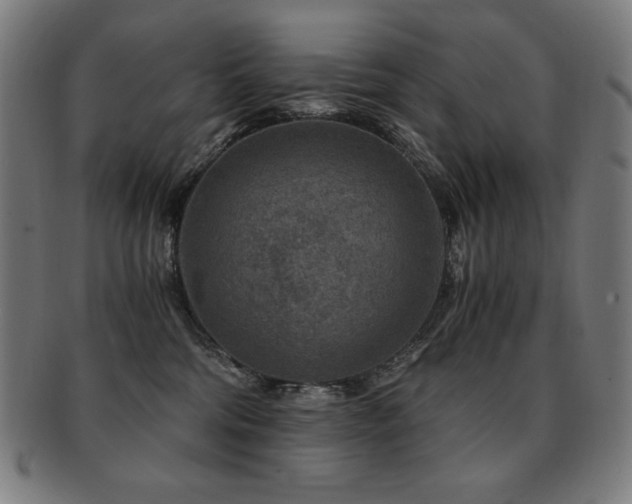 X0000091880330200709051329
