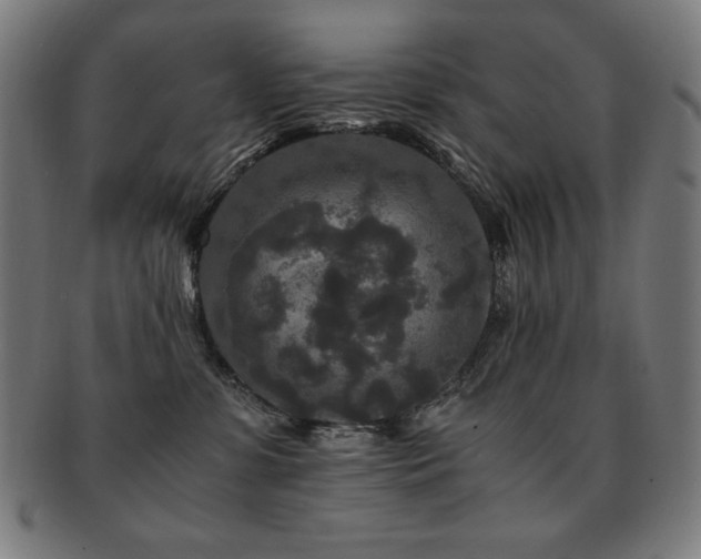 X0000091880331200709051329