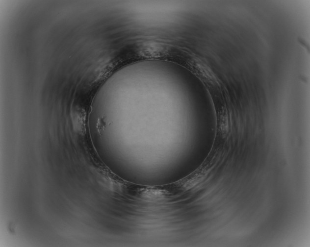 X0000091880332200709051329