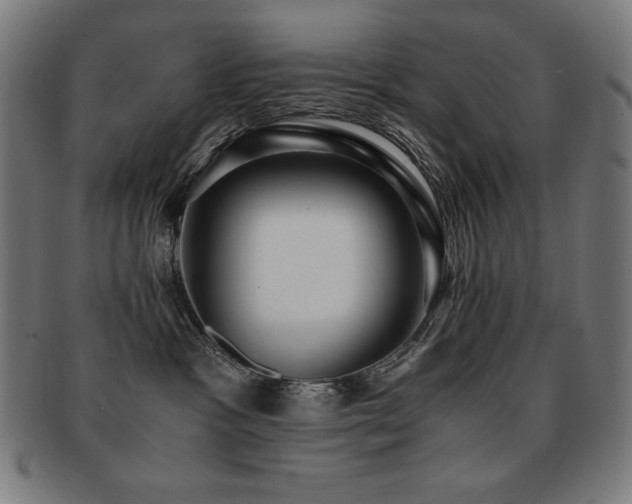 X0000091880333200709051329