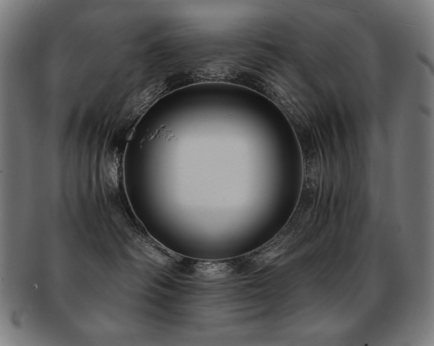 X0000091880334200709051329