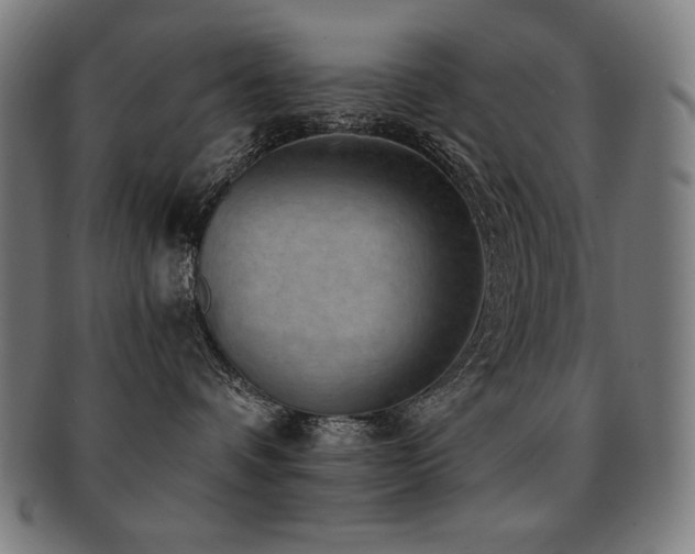 X0000091880336200709051329