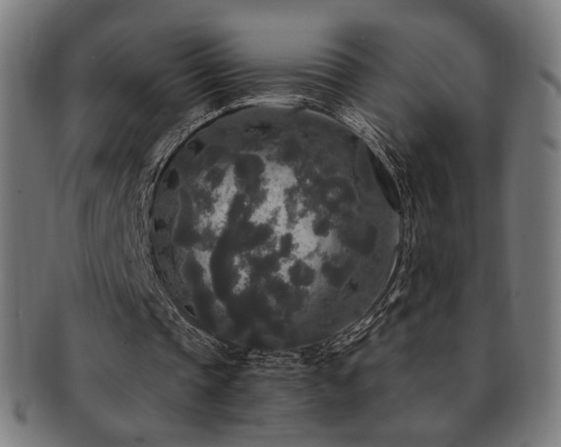 X0000091880337200709051328