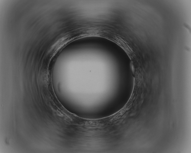 X0000091880338200709051328