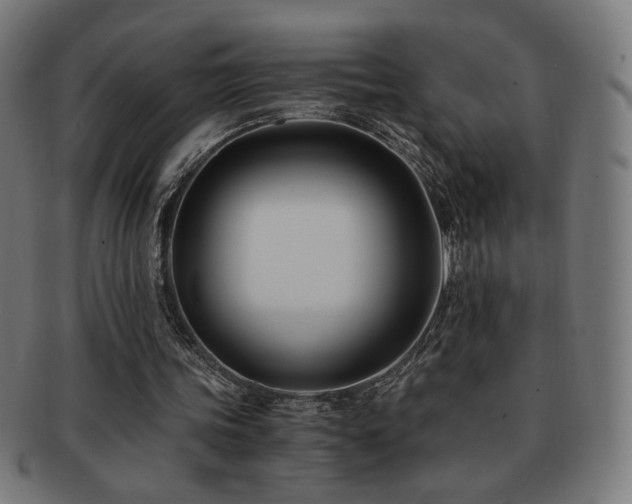 X0000091880339200709051328