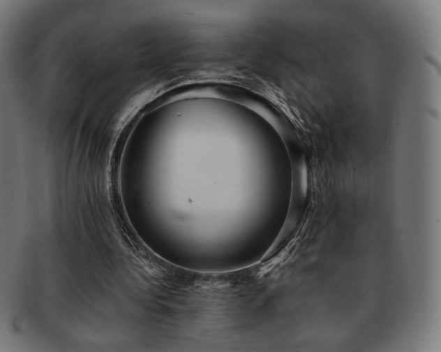 X0000091880340200709051328