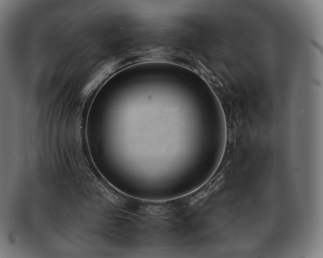 X0000091880341200709051328