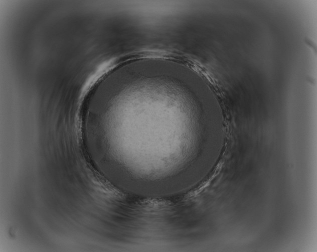 X0000091880343200709051328