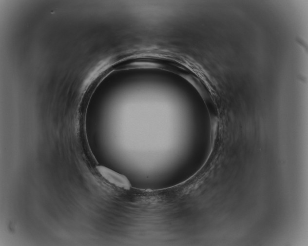 X0000091880344200709051328