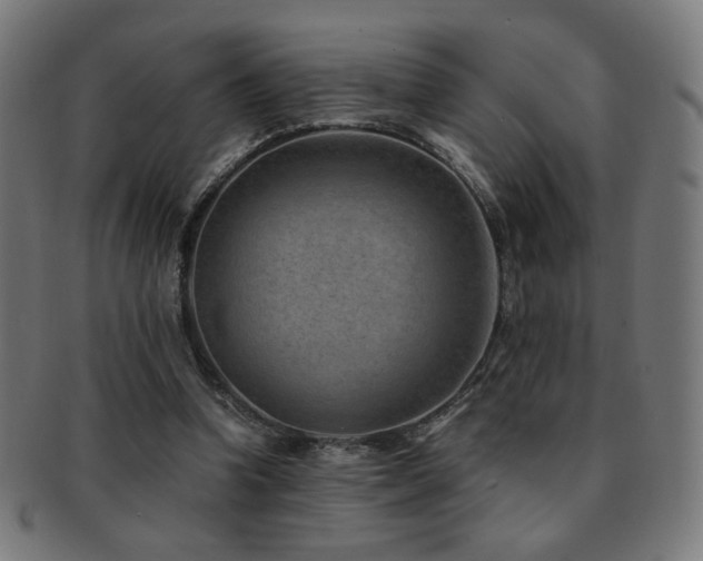 X0000091880346200709051328