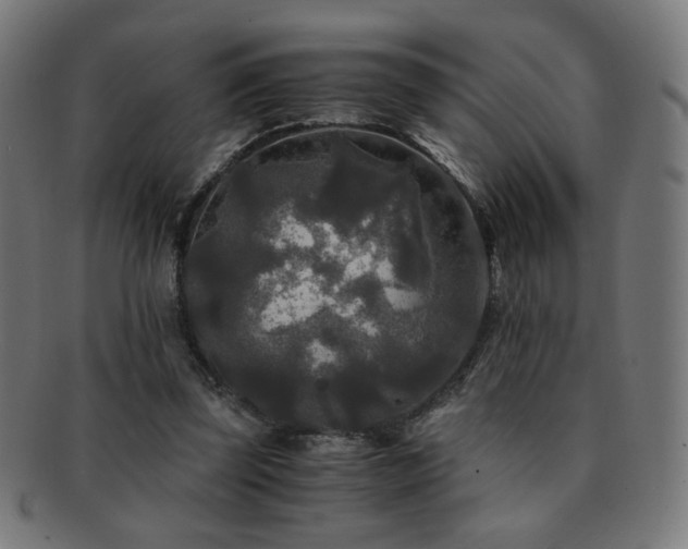 X0000091880347200709051328