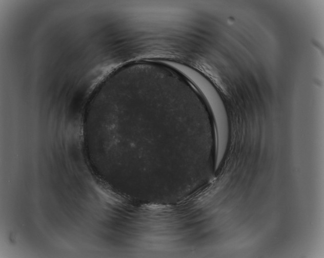 X0000091880348200709051328