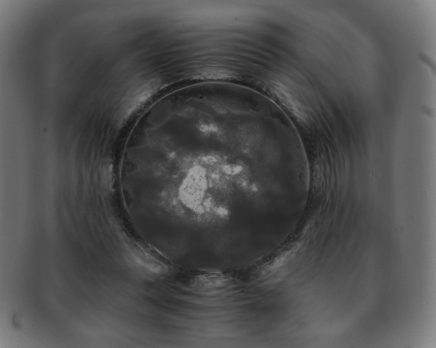 X0000091880351200709051328
