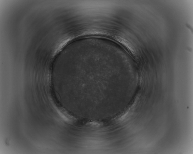 X0000091880352200709051328