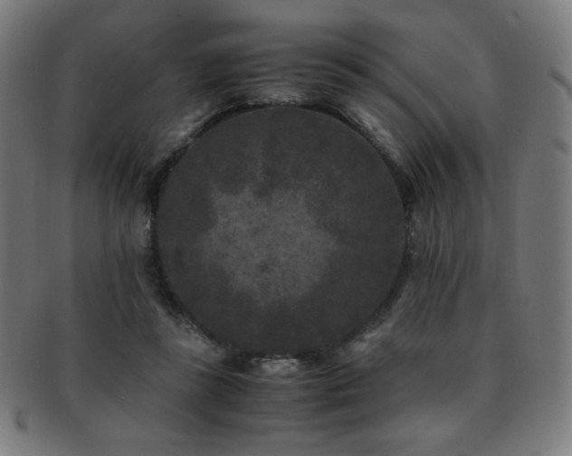 X0000091880355200709051328