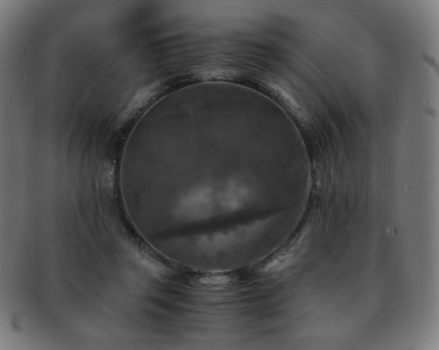 X0000091880357200709051328