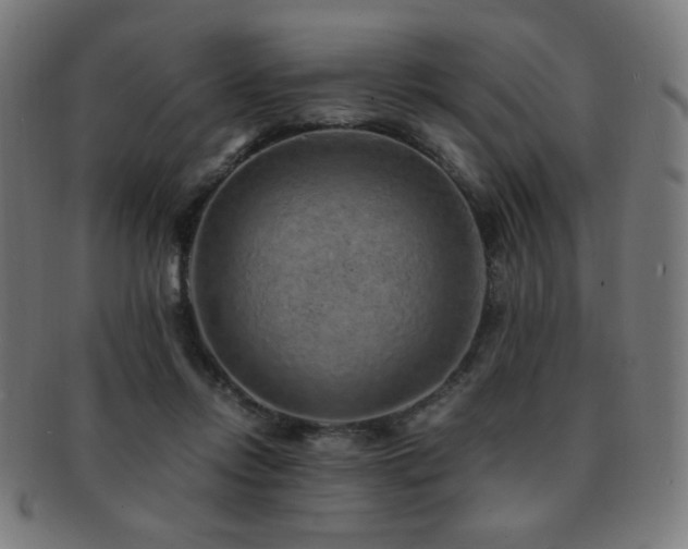 X0000091880358200709051328
