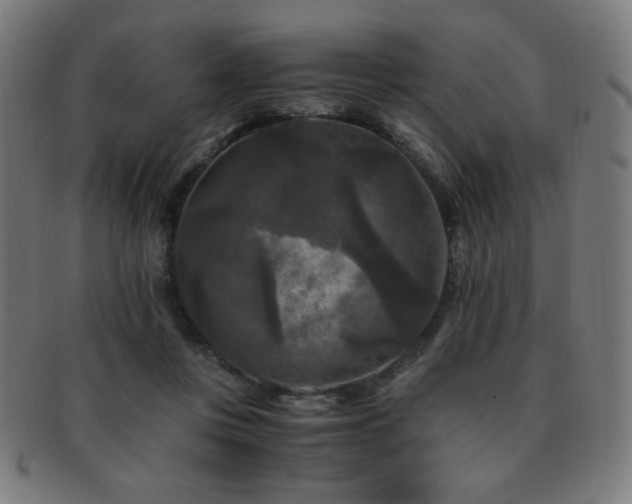 X0000091880359200709051328