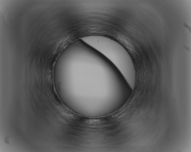X0000091880361200709051328