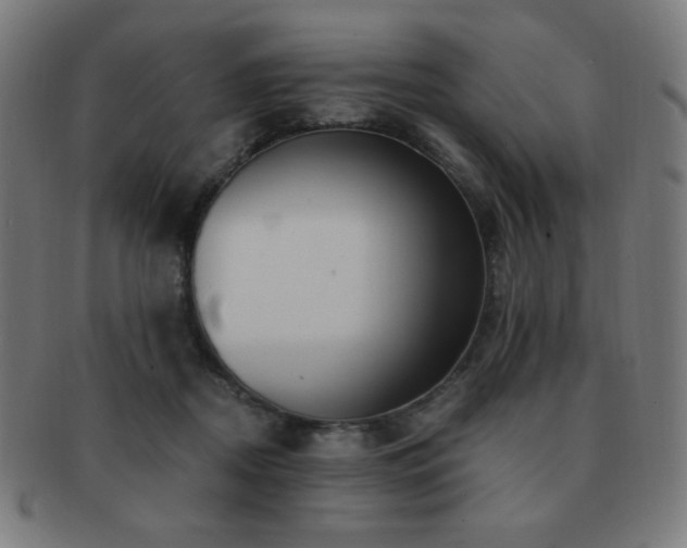 X0000091880362200709051328