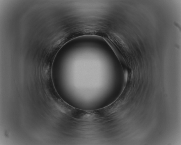 X0000091880364200709051328