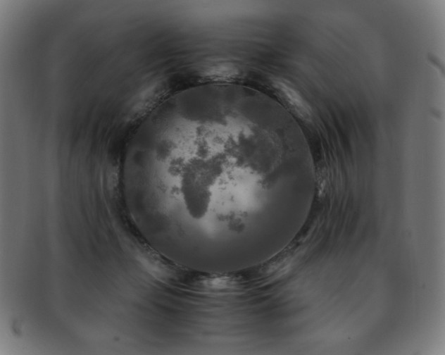 X0000091880365200709051328