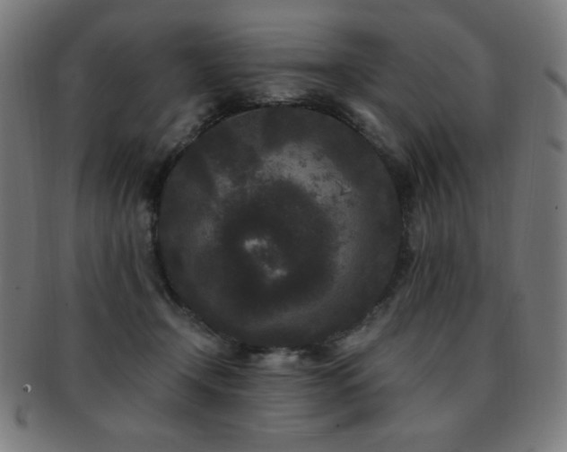X0000091880366200709051328